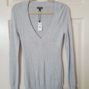 Express v-neck sweater